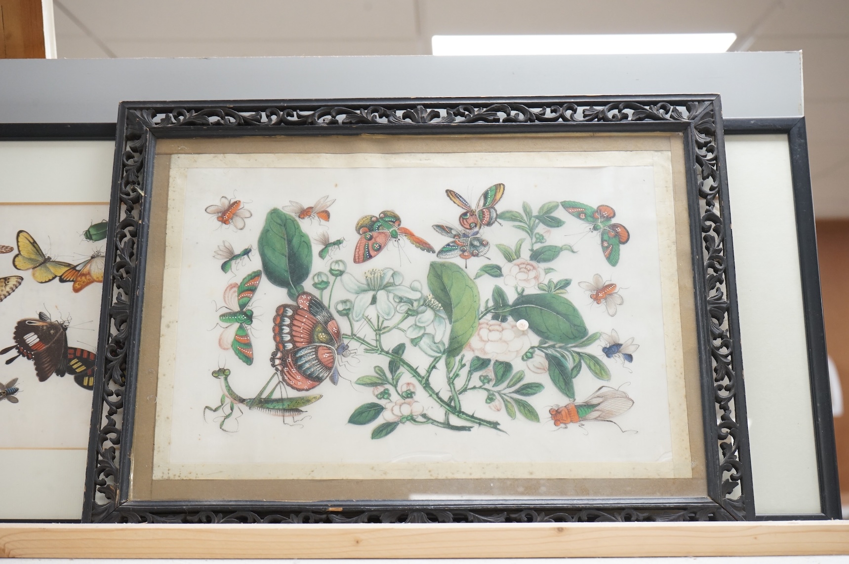 19th century, Chinese School, four pith paper paintings, Butterflies and insects, 20 x 32cm, one housed in a carved wood frame